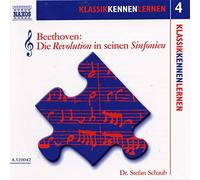 Schaub,Stefan - Beethoven die revolution in se