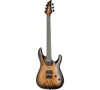 Schecter Schecter C-1 Pale Moon SNBB