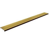 Schedpol Base Gold Shine Range couvercle de drain linéaire 90 cm doré 10.053/DPZP