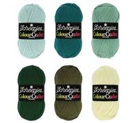 Scheepjes Colour Crafter Colour Pack 6x50g - The Veluwe - Vert