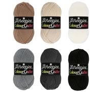 Scheepjes Colour Crafter Kleurpakket 6x50g - Windmolens, Roze en Paars