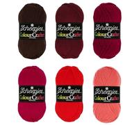 Scheepjes Colour Crafter Pack de Couleurs 6x50g