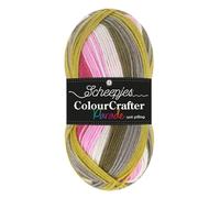 Scheepjes Colour Crafter Parade 1x100g - 603 Fleurs Sauvages