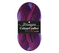 Scheepjes Colour Crafter Parade 1x100g - Mélange Violet 407