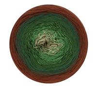 Scheepjes Cotton Whirl 1x1000m - 727 Woodland Walk - Fil à tricoter et crocheter