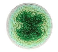 Scheepjes Whirl-Fine Art 1x220g - 653 Fauvism, Vert et Gris