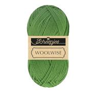 Scheepjes Woolwise 100g - 756 Vert Agave, Laine Superwash Merino pour le tricot et le crochet