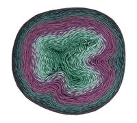 Scheepjes Yarn, Green/Purple, One Size