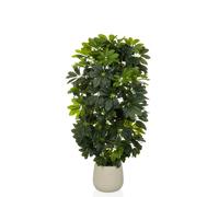 Schefflera 2 - Plante artificielle Vert