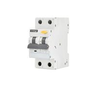 Schelinger Disjoncteur différentiel 2P - 16A - 30mA - Type AC Protection contre les surintensités