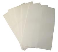 Sacs de rechange 5 pieces pour aspirateur Scheppach ha1000