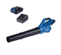 Scheppach Souffleur de feuilles C-BL700-X 20V sans fil – Batterie 2Ah + Chargeur