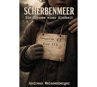 Scherbenmeer - Die Odyssee einer Kindheit