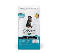 Schesir, Nourriture pour Chiens Adultes de Grande Taille, saveur Poisson, Ligne Entretien, croquettes - Format Sac de 12 kg