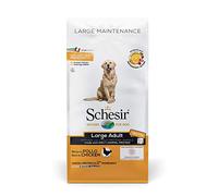 Schesir, Aliments secs pour Chiens Adultes de Grande Taille au goût du Poulet, Ligne de Conservation en croquettes - Format Sac de 12 kg