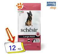 Schesir, Aliments secs pour Chiens Adultes de Grande Taille au goût du Jambon, Ligne de Maintien en croquettes - Format Sac de 12 kg