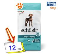 Schesir, Croquettes pour Chiots de Grande Taille, saveur Poulet, croquettes - Format Sac de 12 kg