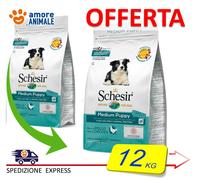 Schesir Dry Medium Puppy Maintenance Avec Poulet 3/10 KG - Aliments pour Chiens