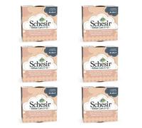 SCHESIR Poulet à l'aloès pour chatons 85G