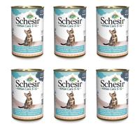 SCHESIR Thon à l'aloe vera pour les chatons 6x140 g