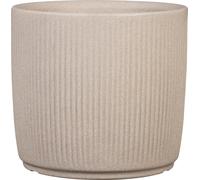 Scheurich Linetto - Lot de 40 Pots de Fleurs Ronds - Couleur Sable - Fabriqué avec du Plastique recyclé - pour l'extérieur