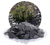 Schicker Mineral Gravier décoratif Noir 20-40 mm 25 kg, Gravier d'ardoise provenant d'Allemagne, Ardoise concassée, Pierre Naturelle aux Couleurs résistantes, idéale pour l'aménagement de Jardins
