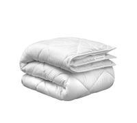 Schiesser Couette toutes saisons 2 pièces Adapté aux personnes allergiques Plusieurs tailles