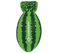 Schildkröt Fun Sports - Neopren Splash Ball Watermelon - green