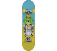 Schildkröt Skateboard Kicker 31" - Idéal débutants, plateau concave, double kick, ABEC5 - Green Dog