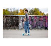 Schildkröt Skateboard Retro, Planche de Qualité Supérieure en Plastique PP, Robuste et Durable, ABEC7, Chariots en Aluminium, Roues en PU, Support Antidérapant, Couleur: Vert, 510701