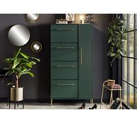Schildmeyer Armoire à Chaussures, Matériau Dérivé du Bois, Vert Forêt/Doré, 88,4 x 30 x 174,2 cm