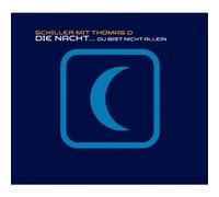 Schiller mit Thomas d - Die Nacht...du Bist Nicht Allein