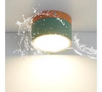Schindora Plafonnier LED,Spot de décoration en bois monté en surface,Mini plafonnier rond vert,Blanc chaud 3000K,12W.