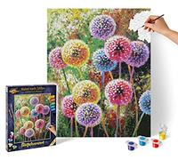 Schipper 609130872 Peinture par numéros - Feux d'artifice floraux - Photos de peinture pour adultes avec pinceaux et peintures acryliques - 40 x 50 cm