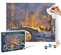 Schipper 609130874 Peinture par numéros - Nuit silencieuse au Central Park - Peinture pour adultes avec pinceaux et peintures acryliques 40 x 50 cm