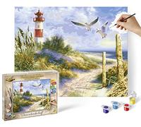 Schipper 609130884 Peinture par numéros - Paysage de dunes - Photos de peinture pour adultes - Pinceaux et peintures acryliques - 40 x 50 cm
