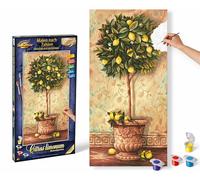 Schipper - 609220397 - Citrus Limonum - Tableau à Dessin - Taille 40 x 50 cm
