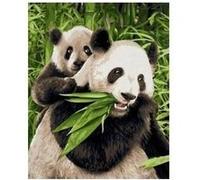 Schipper - 609240712 - Les pandas G