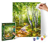 Schipper - Peinture par numéros - Forêt de bouleaux - pinceaux & peintures acryliques - 24 x 30 cm