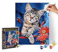 Schipper 609240842 Peinture par numéros - Chat dans Un Sac à Dos - Peinture pour Adultes - avec pinceaux et peintures acryliques - 24 x 30 cm