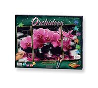 Schipper - 609260603 - Orchids - Triptychon - Tableau à Dessin - Taille 40 x 50 cm