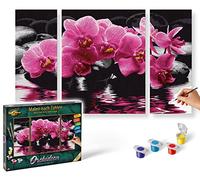 Schipper - 609260603 - Orchids - Triptychon - Tableau à Dessin - Taille 40 x 50 cm