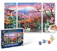 Schipper 609260751 - Peinture par numéro - Fleur de cerisier au Japon, Triptyque 50 x 80 cm