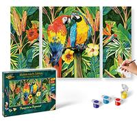 Schipper 609260853 Peinture par numéros - Perroquets dans la forêt Tropicale - Tableaux pour Adultes - avec pinceaux et peintures acryliques - Triptyque - 50 x 80 cm