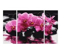 Schipper - MNZ - Orchids (Triptychon) G