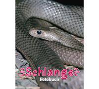 Schlange Fotobuch: Bilderbuch Mit 40 Wunderschoenen Und Geheimnisvollen Schlangenfotos Perfekte Geschenke Fuer Fans Jeden Alters.