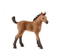 Horse Club Poulain Quarter Horse