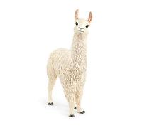 13920 Lama Noir G