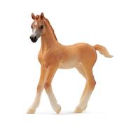 Schleich 13984 Poulain Arabe, dès 5 Ans, Horse Club - Figurine, 2 x 8 x 8 cm