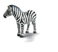 Schleich - 14148 - Figurine - Animaux - Zèbre